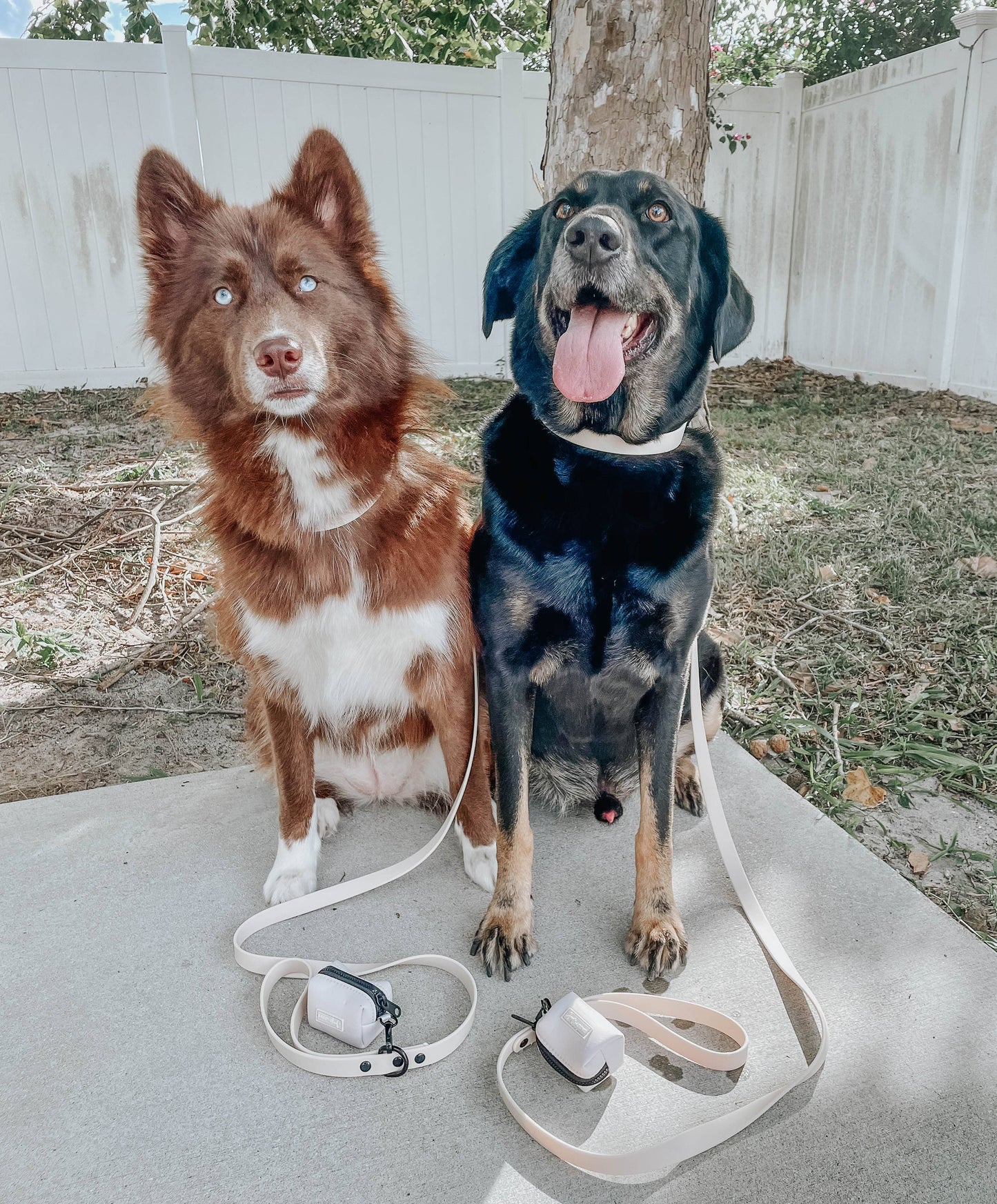 Waterproof Dog Leash - Beige