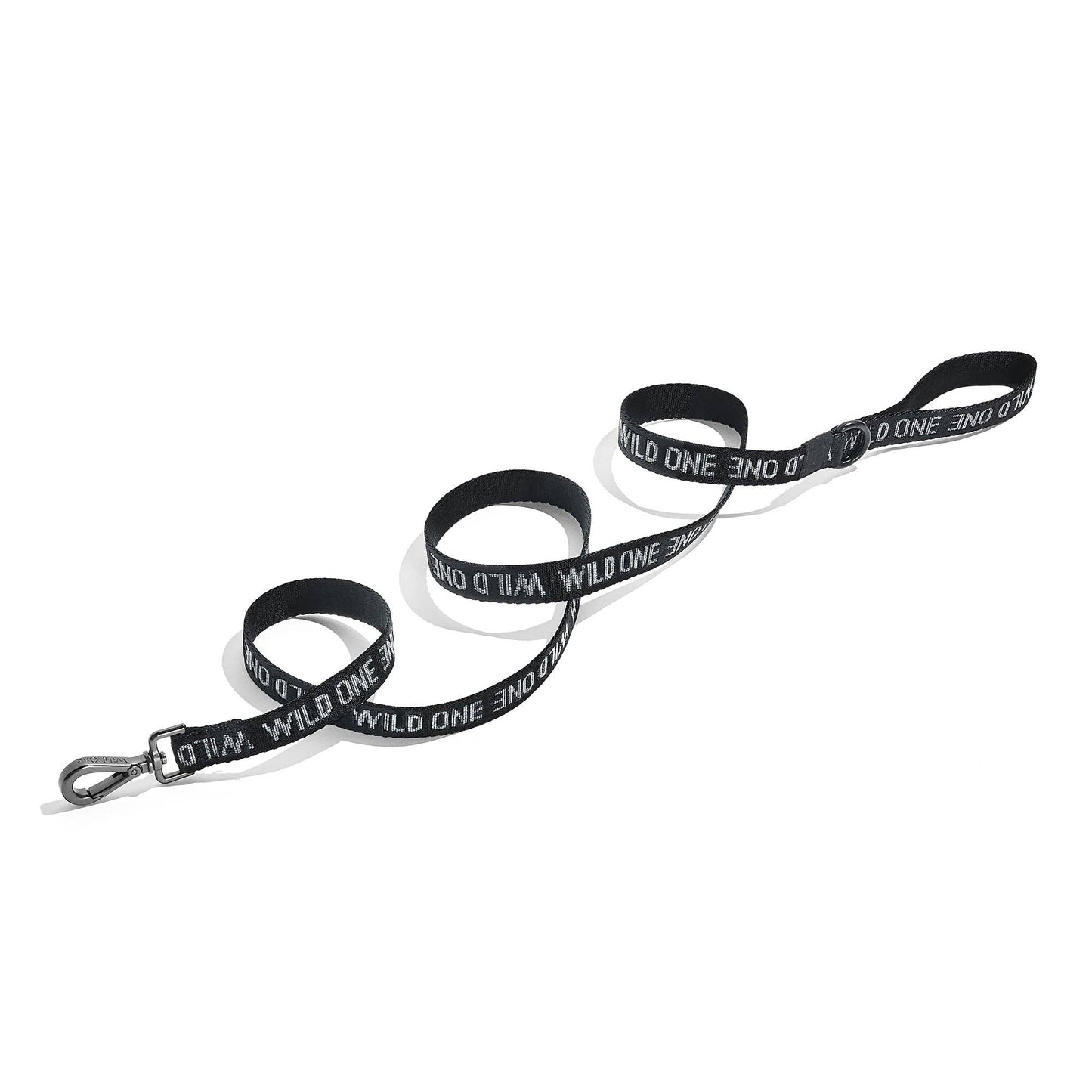 Lightweight Nylon Leash