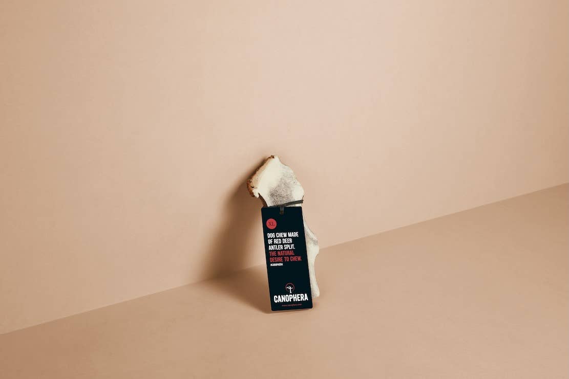 Dog Chew Made of Red Deer Antler Splits.: English / M