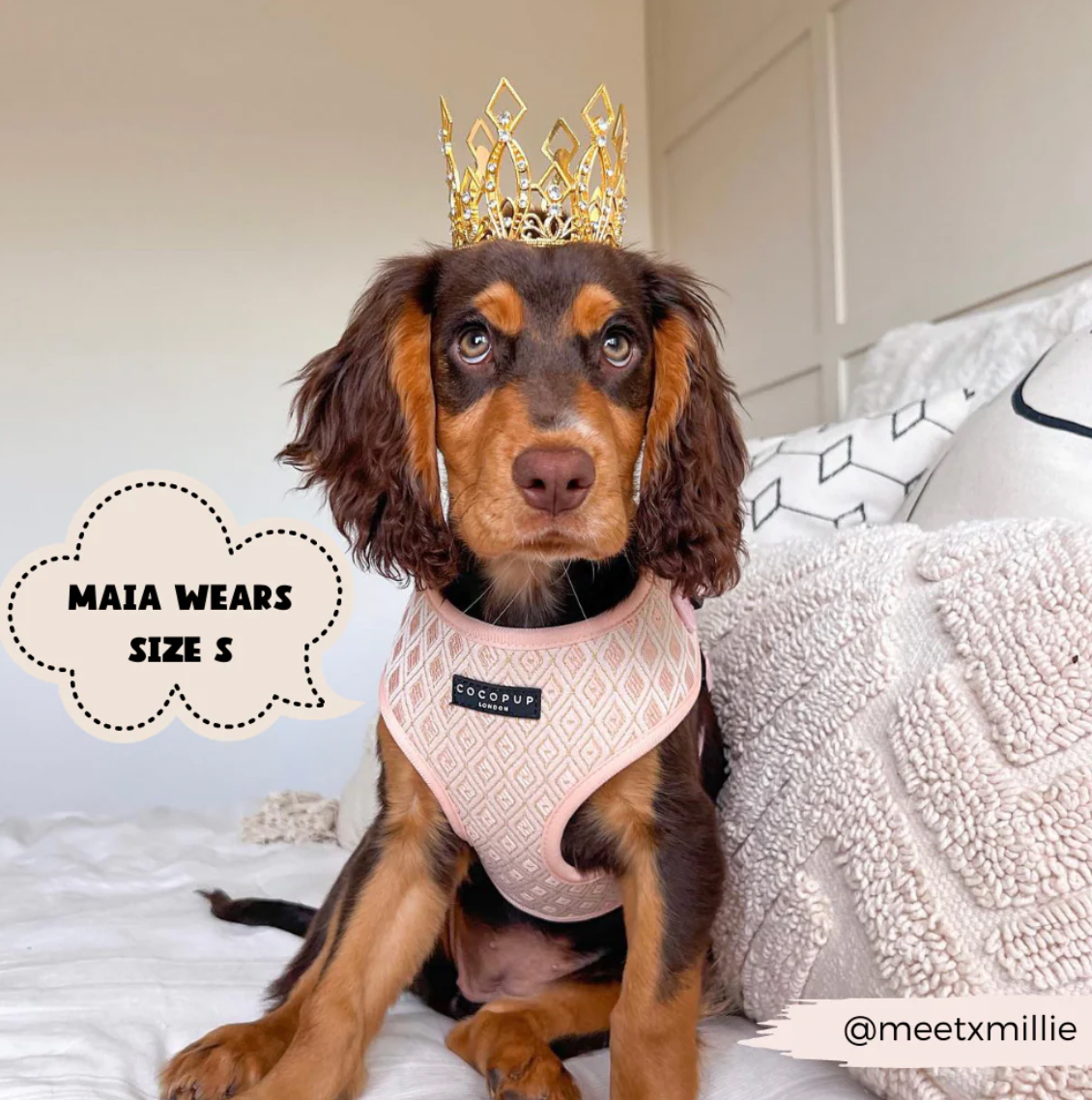 LUXE Embroidered Glitter Adjustable Neck Harness - Puperella