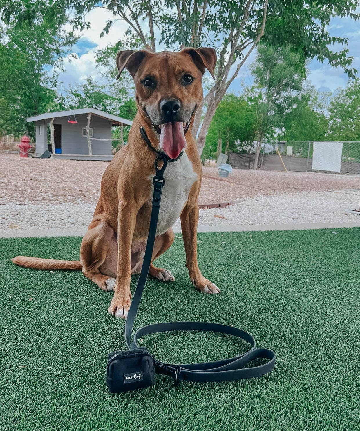 Waterproof Dog Leash - Black