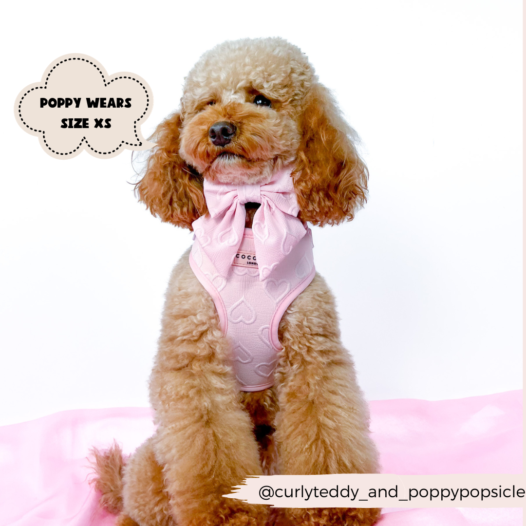 Luxe Adjustable Neck Harness - Baby Pink Heart