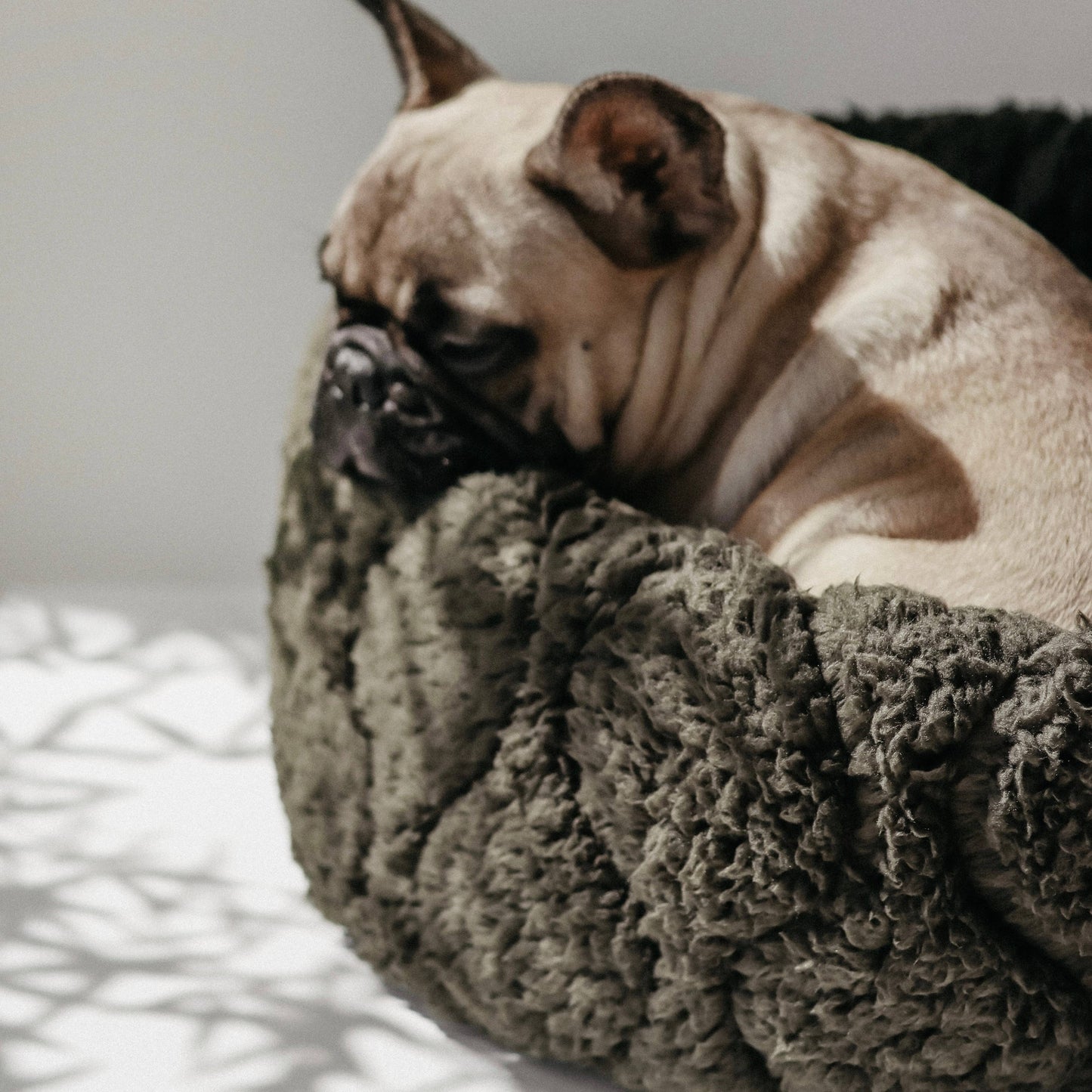 TAART // DOG&CAT BED // Reversible // PETITE