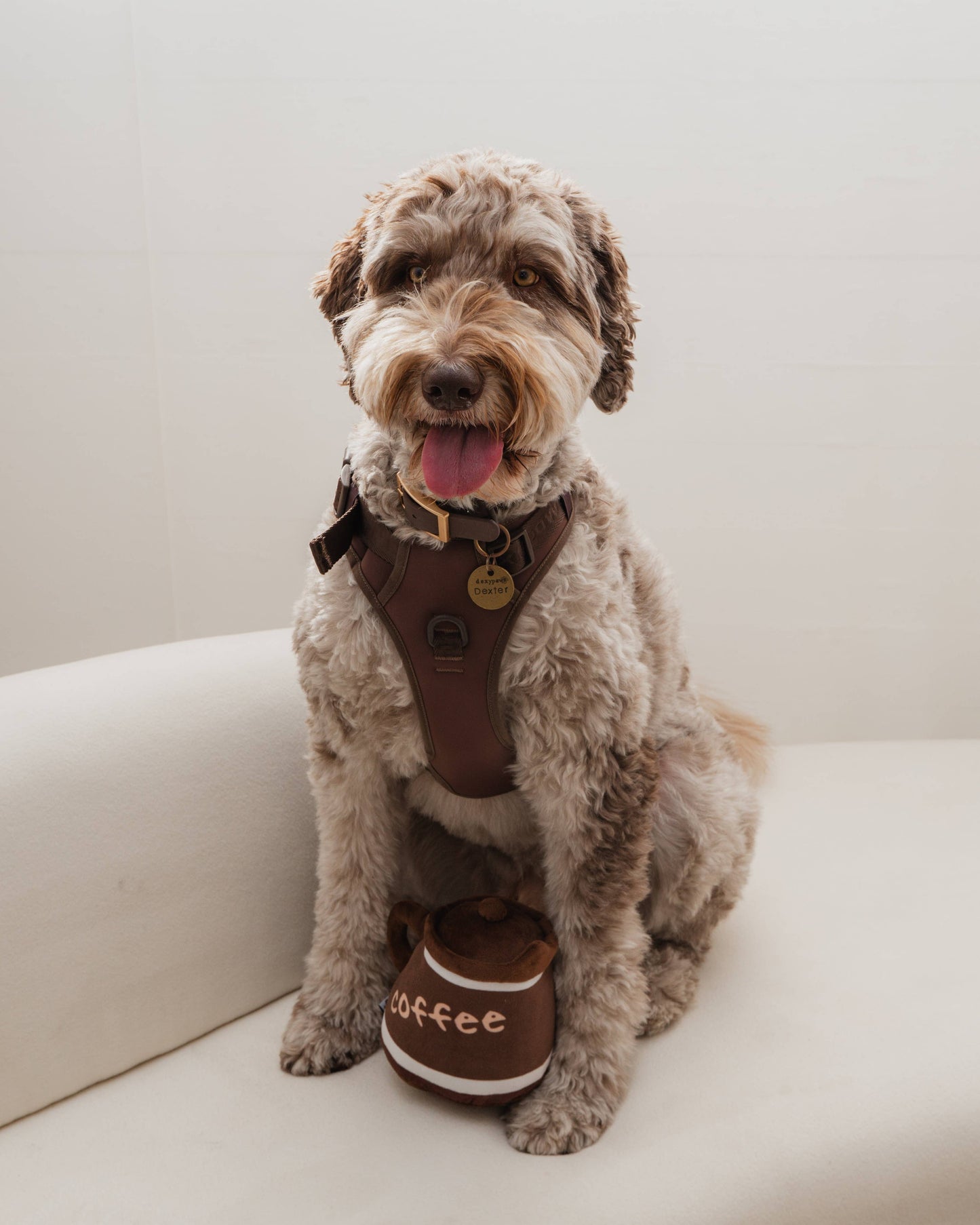 Puppuccino Plush Toy