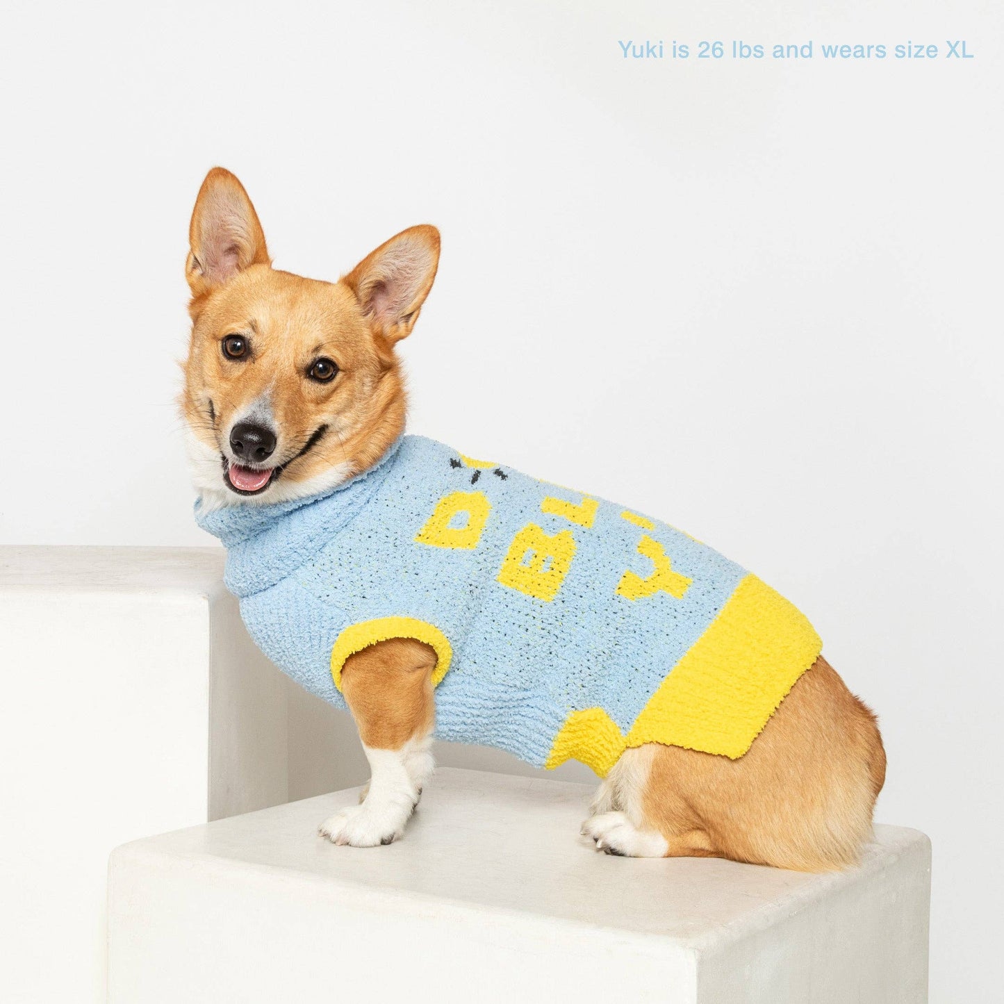 Dog Bless Sweater