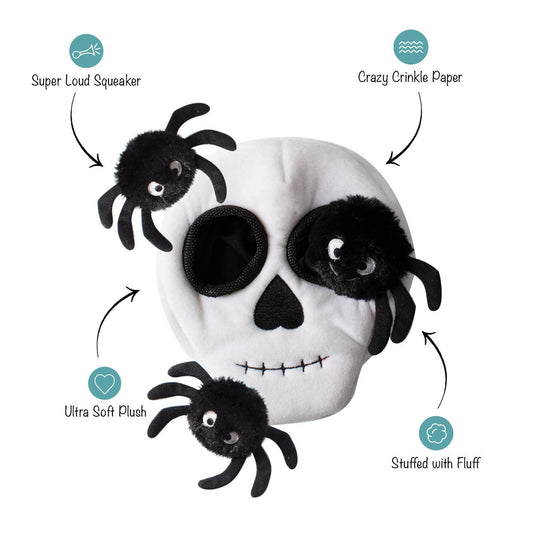 Skull with Spiders