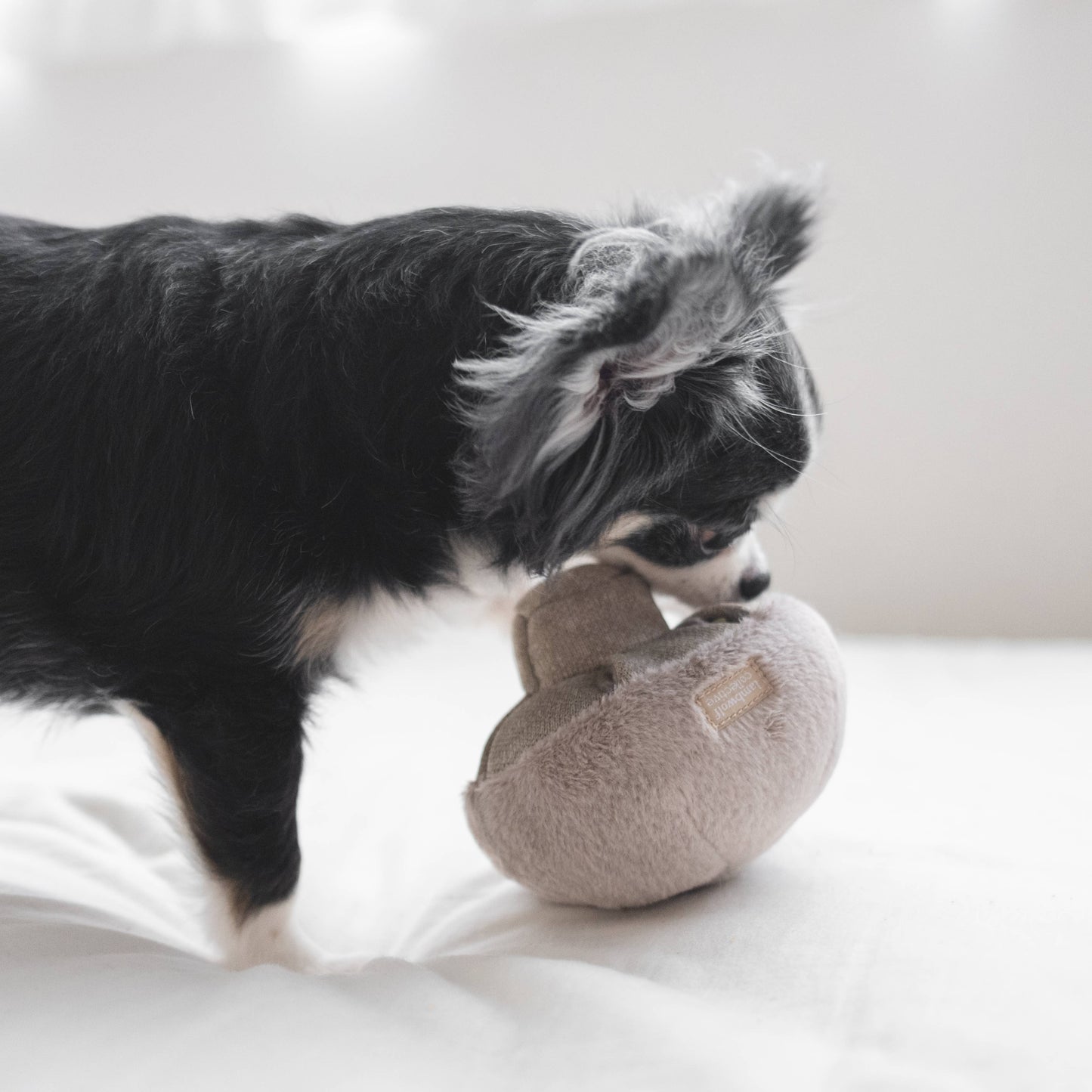 GUU //HAZE//NOSEWORK//ENRICHMENT DOG TOY