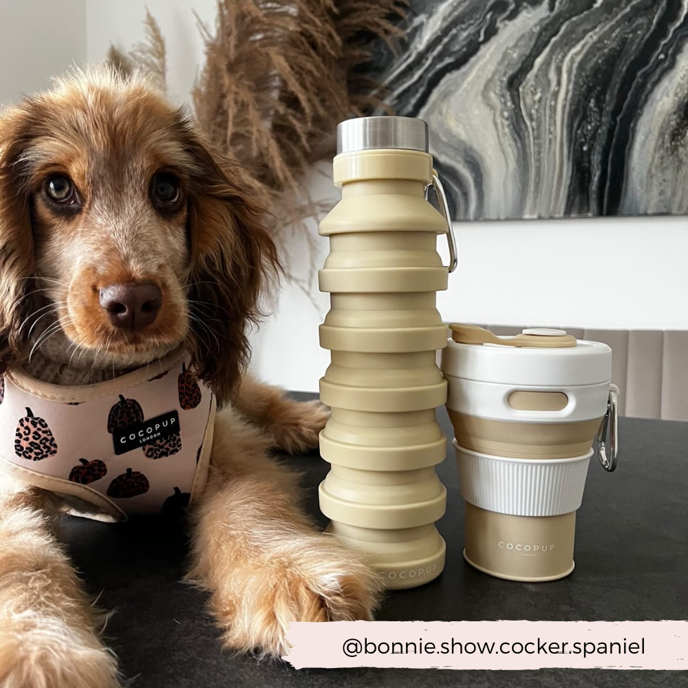 Collapsible Water Bottle - Nude