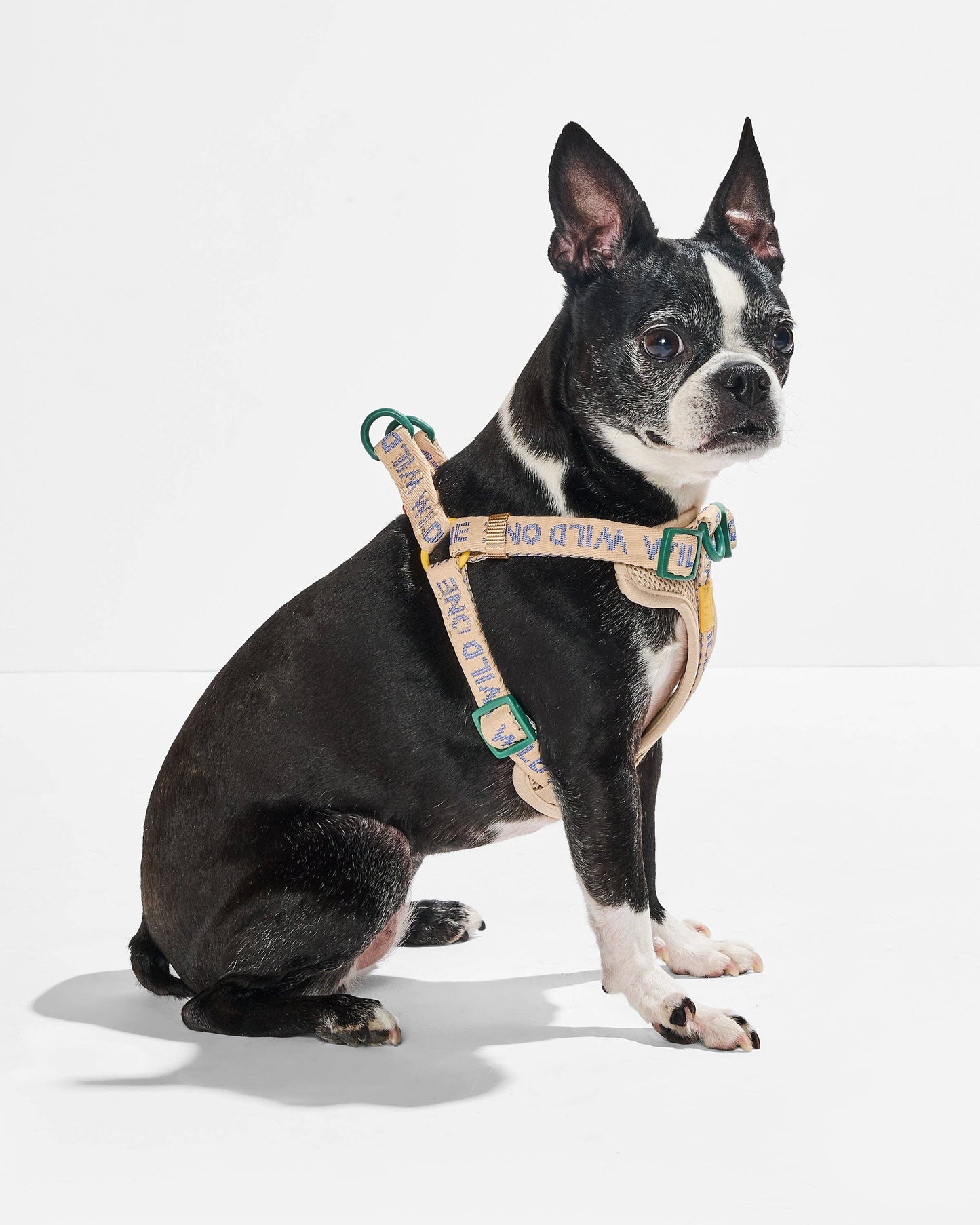 Step-In Harness