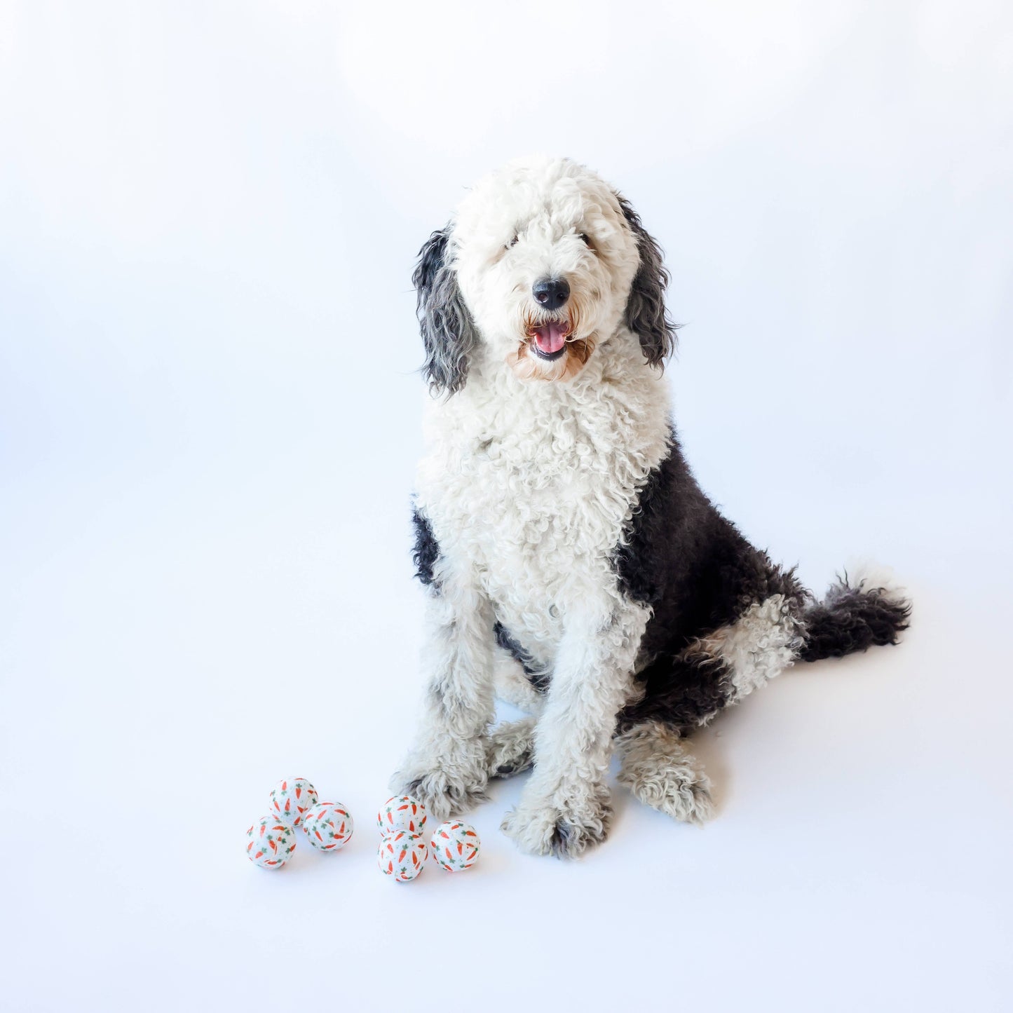 Easter Carrot Dog Tennis Balls