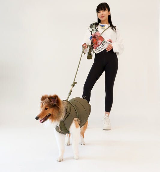 HOZI X LCB Handsfree Leash - Khaki