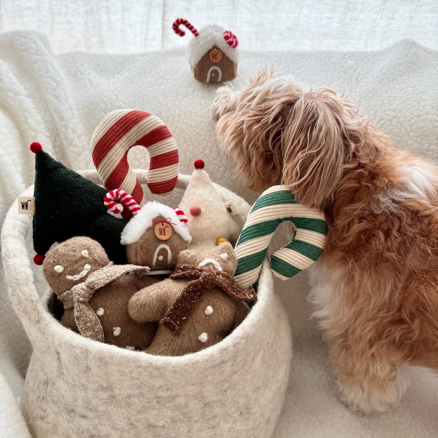 X-mas Candy Cane Toy