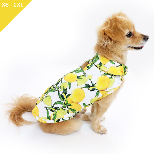 [RESTOCKED] LCB Nice Cooling Jacket