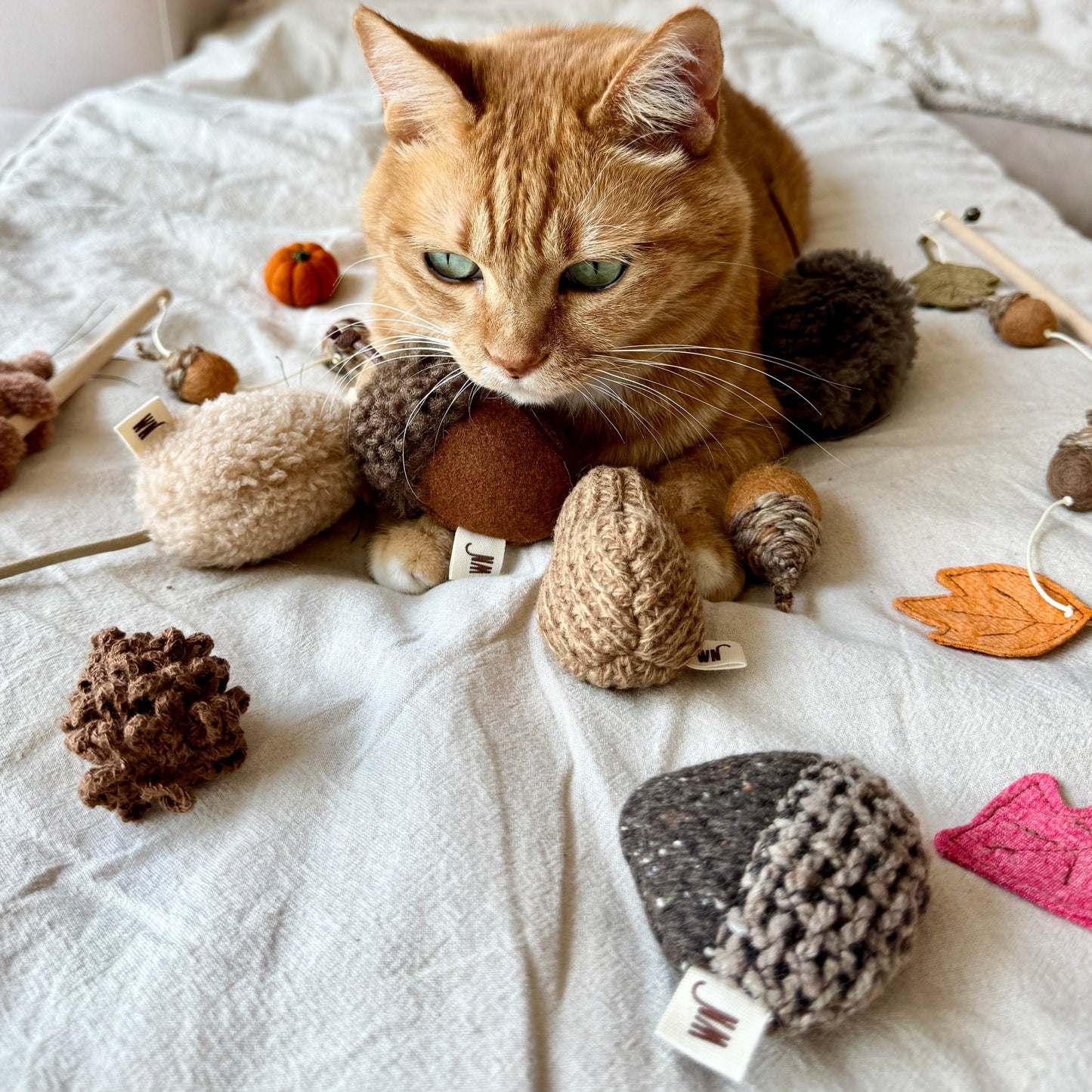 Nuts : Set of 3