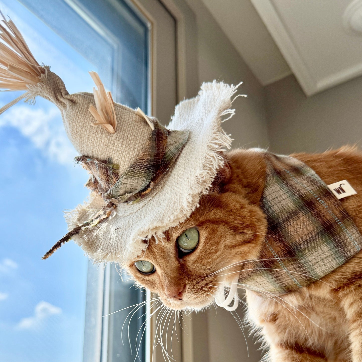Scarecrow Hat