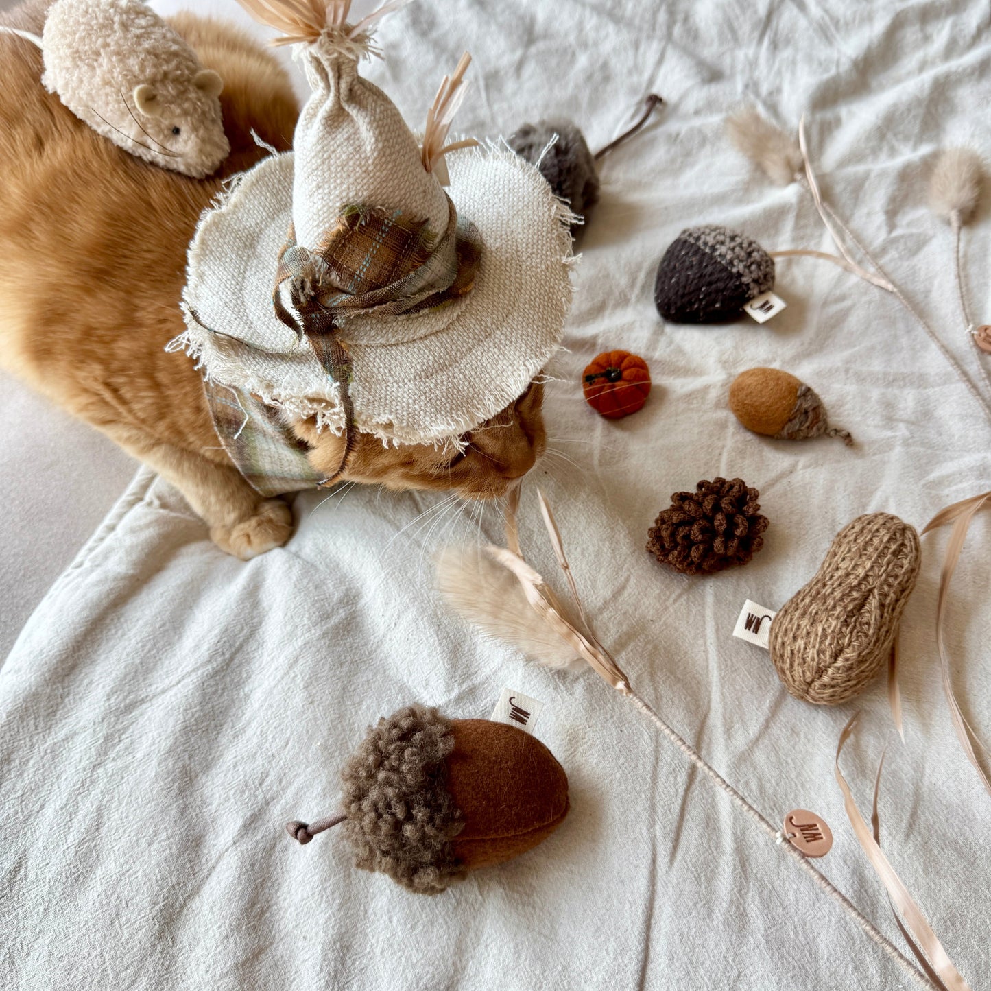 Nuts : Set of 3
