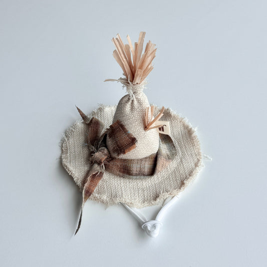 Scarecrow Hat