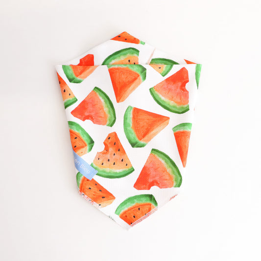LCB Watermelon Cooling Bandana