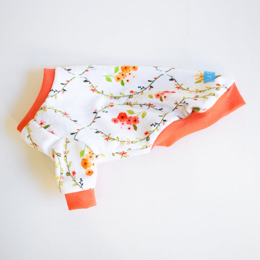 Botaniq- Coral (made-to-order)