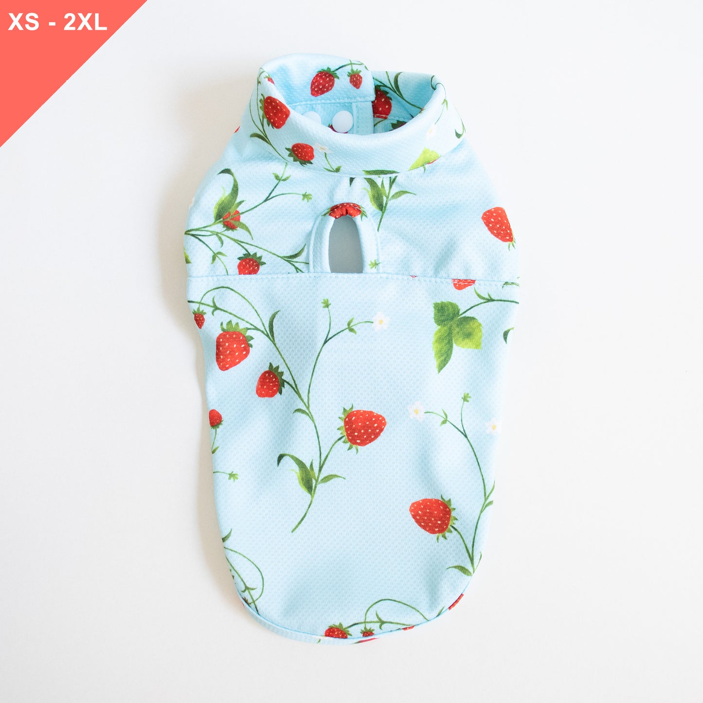[NEW] LCB Strawberry Cooling Jacket