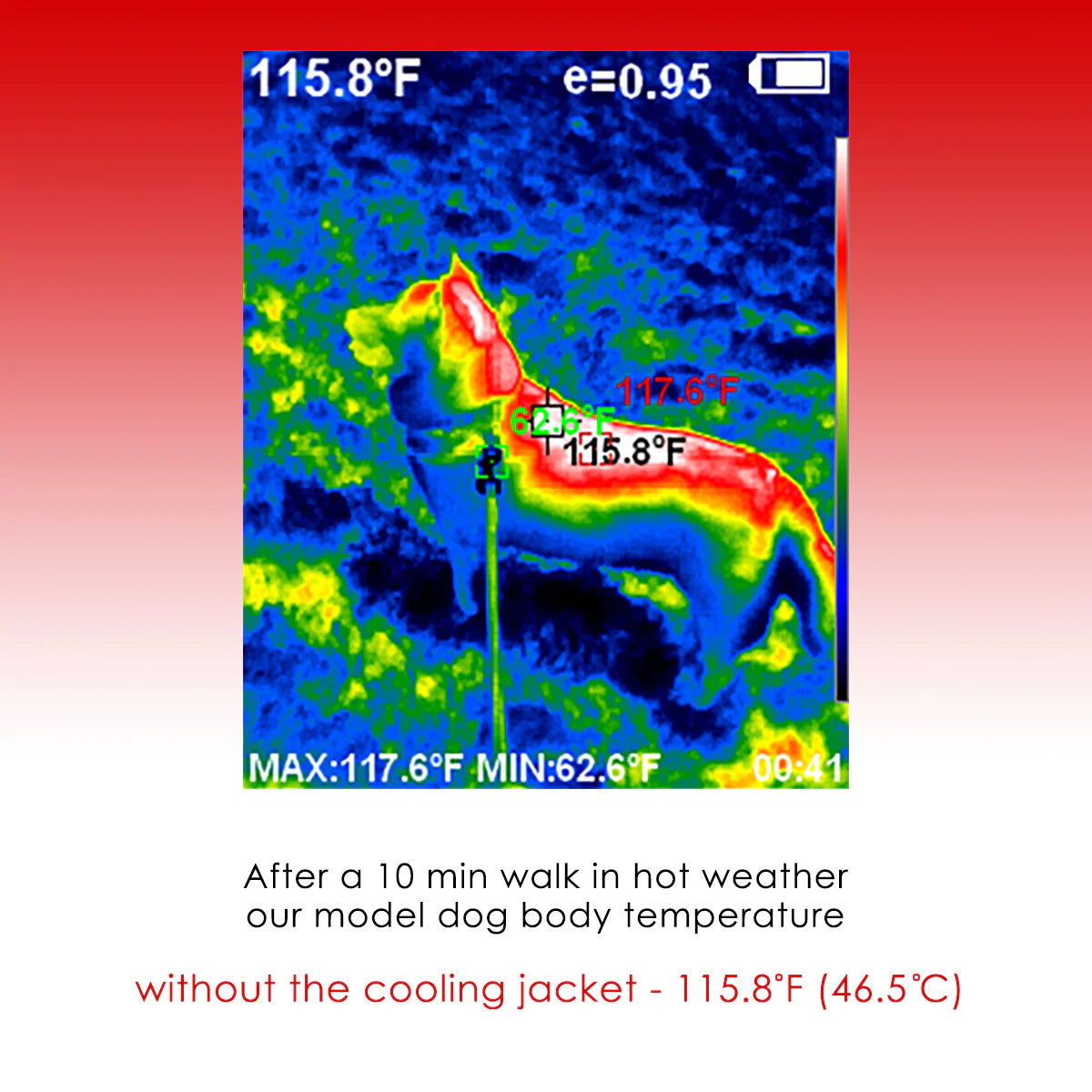 LCB Flamingo Cooling Jacket