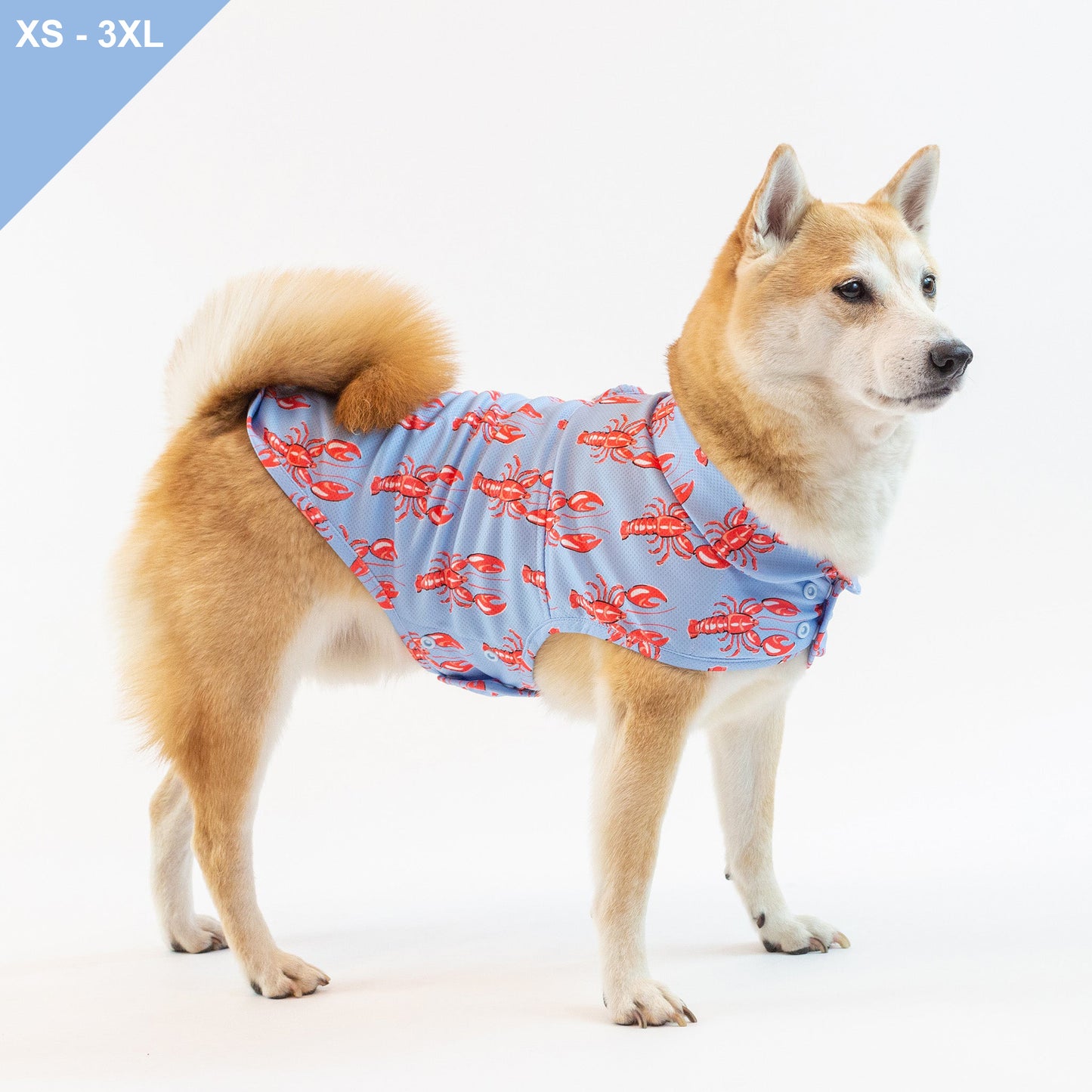 LCB Newport Cooling Jacket