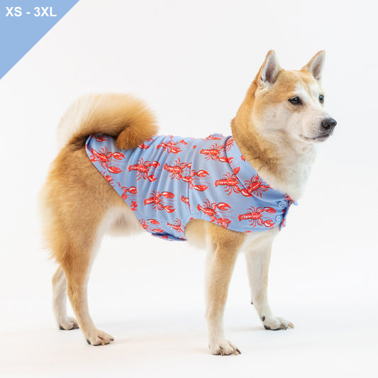 LCB Newport Cooling Jacket