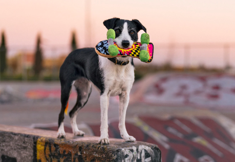 Classic Skateboard