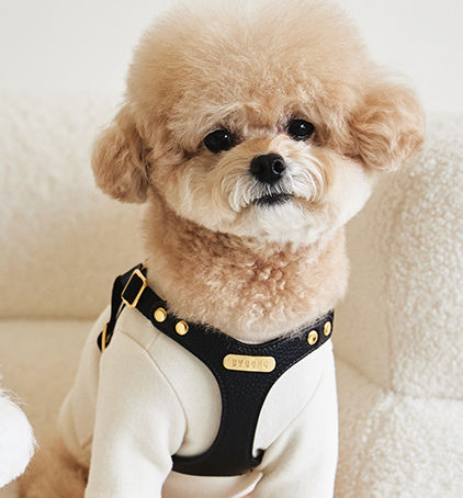 One Touch Leather Harness