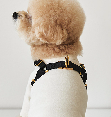 One Touch Leather Harness