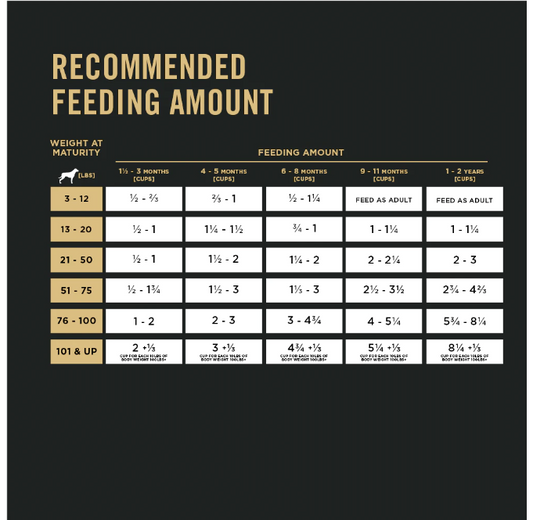 Purina Pro Plan Puppy Chicken & Rice Formula
