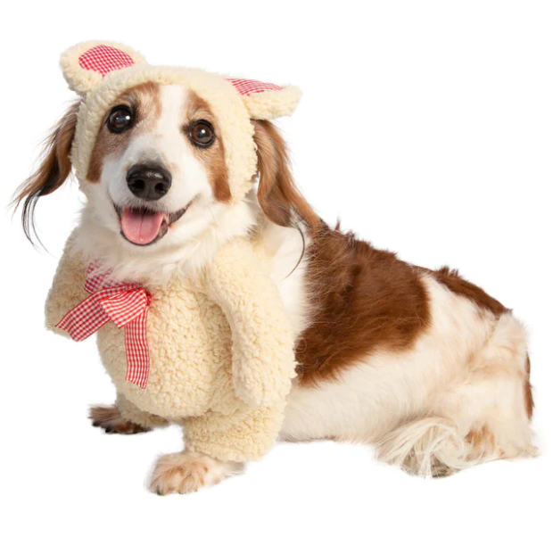 Walking Teddy Bear Costume - Small