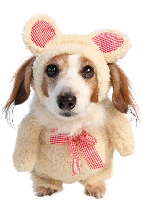 Walking Teddy Bear Costume - Small