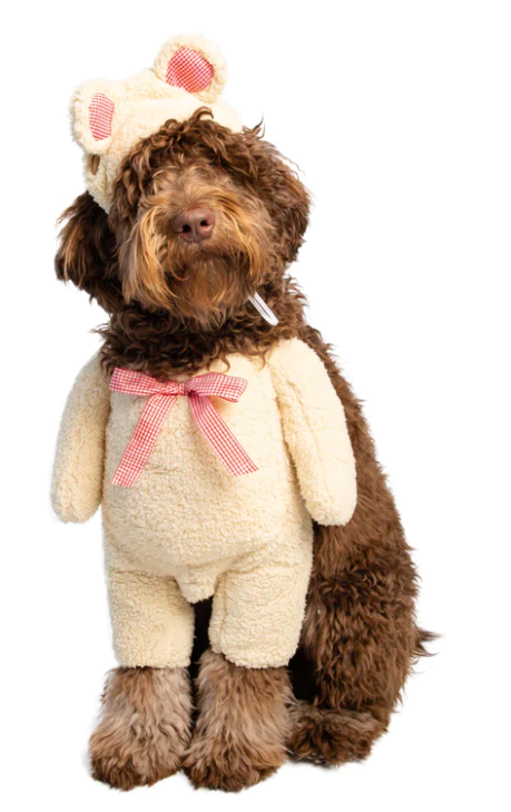 Walking Teddy Bear Costume - Small