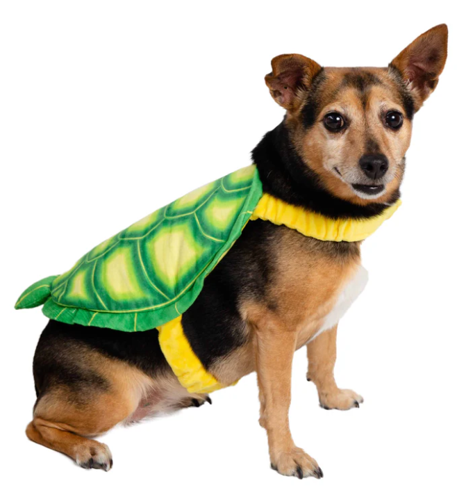 Turtle Costume