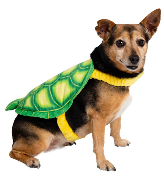 Turtle Costume
