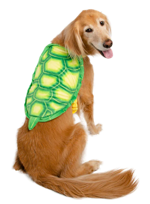 Turtle Costume