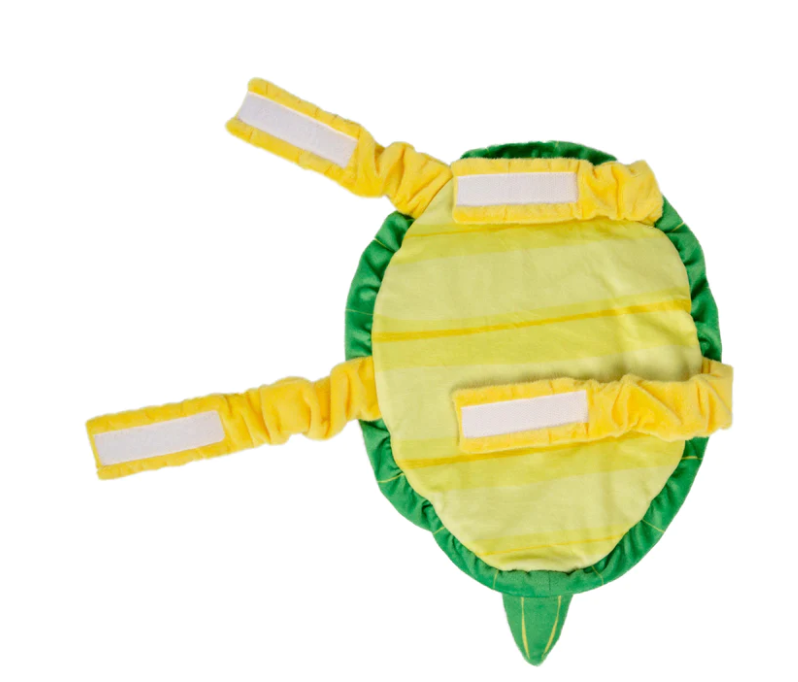 Turtle Costume