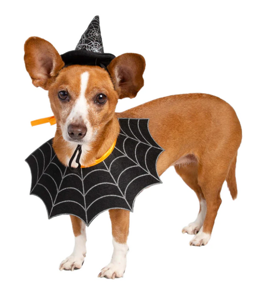 Witch Hat And Collar Set Costume