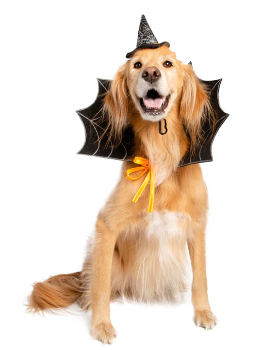 Witch Hat And Collar Set Costume