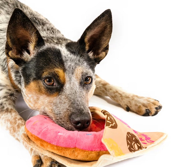 Pup cup cafe_Donut