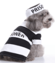Prison Uniform Costume