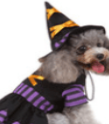 Witch Dress Costume