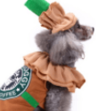 Starbucks Costume