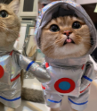 Astronaut Costume