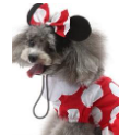 Mini Mouse Costume