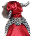 Maleficent Costume