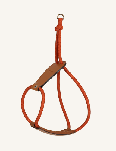 HOZI Essential Harness