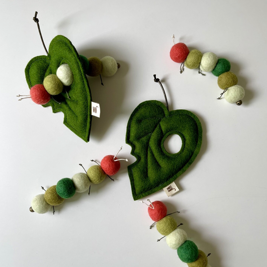 Larva (Set)