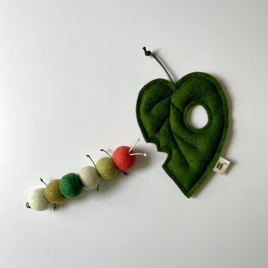 Larva (Set)